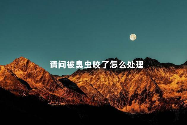 请问被臭虫咬了怎么处理