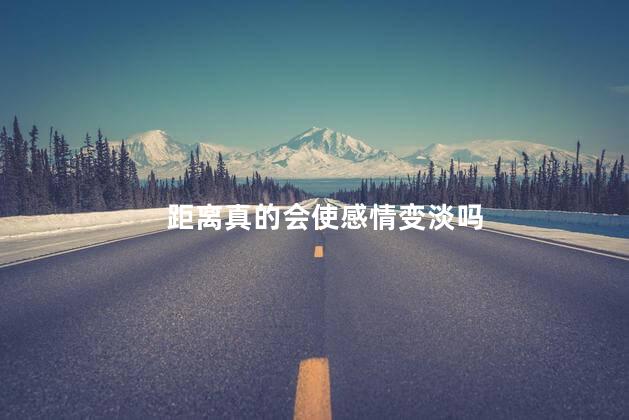 距离真的会使感情变淡吗