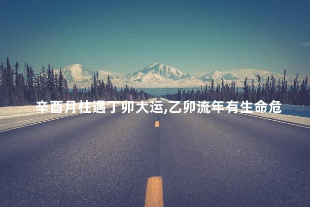 辛酉月柱遇丁卯大运，乙卯流年有生命危险吗
