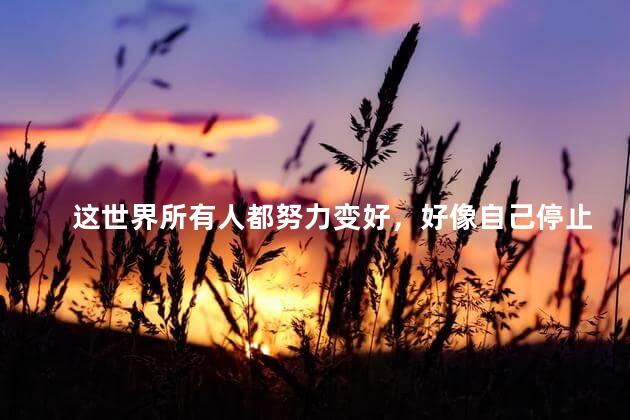 这世界所有人都努力变好，好像自己停止不前了