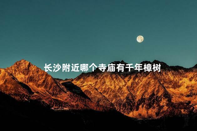 长沙附近哪个寺庙有千年樟树