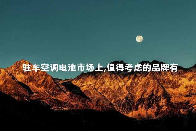 驻车空调电池市场上，值得考虑的品牌有哪些