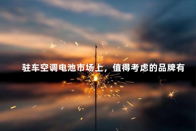 驻车空调电池市场上，值得考虑的品牌有哪些